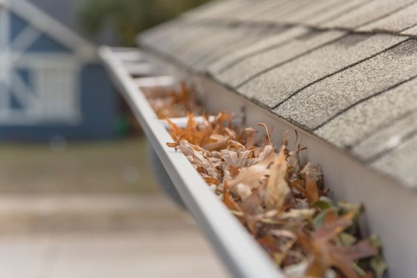 Leaf Barrier Installation in Wylie