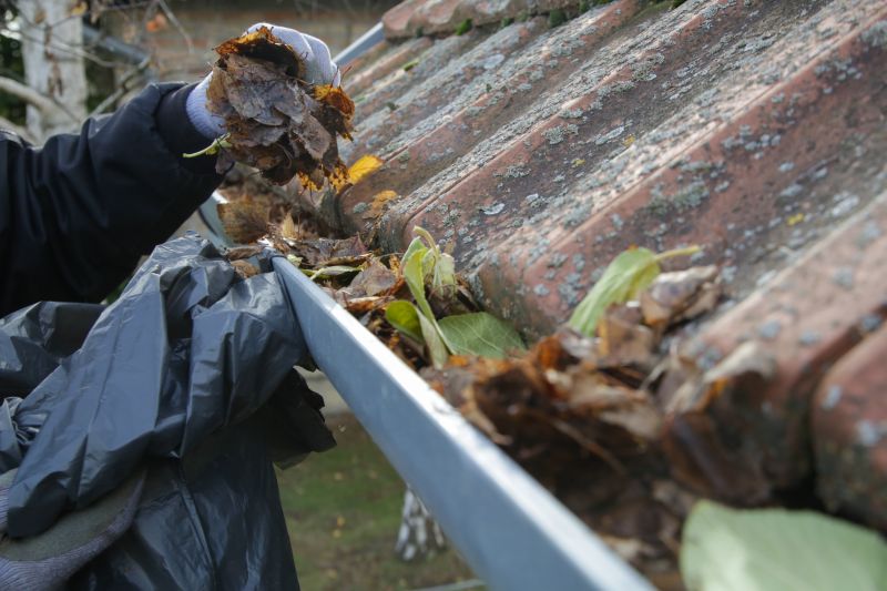 Clean Gutters After Storm